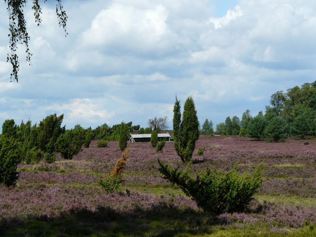 Holiday Park Auf Dem Simpel Soltau Zewnętrze zdjęcie