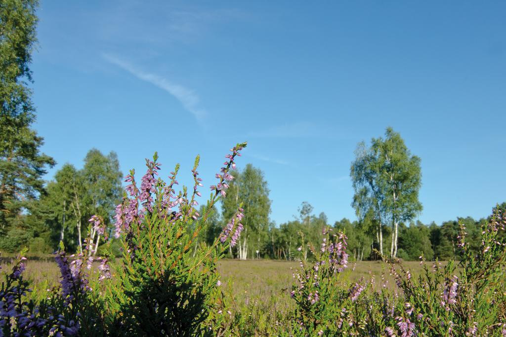 Holiday Park Auf Dem Simpel Soltau Zewnętrze zdjęcie